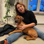 Ersteller:in Wilma Profilbild