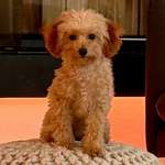 Ersteller:in Kim Profilbild