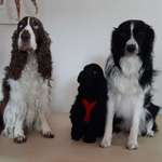 Ersteller:in Angelika Profilbild