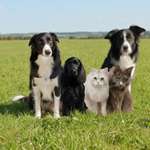 Ersteller:in Angelika Profilbild