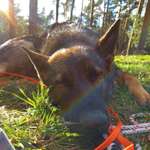 Ersteller:in Ronja Marie Profilbild