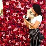 Ersteller:in Erika Profilbild