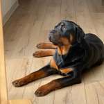 Reiseübelkeit-Beitrag-Bild