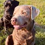 Ersteller:in Dani Profilbild