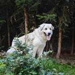 Ersteller:in Gaby Profilbild