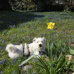 Ersteller:in Daphne Profilbild