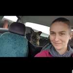 Ersteller:in Franzi Profilbild