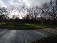 Hundeauslaufgebiet-Nordpark Neuss-Bild