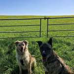 Ersteller:in Lara-Jane Profilbild