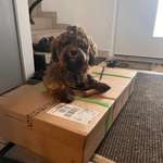 Ersteller:in Monika Profilbild