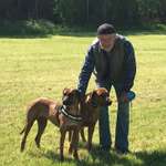 Ersteller:in Udo Profilbild