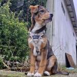 Ersteller:in Melanie Profilbild