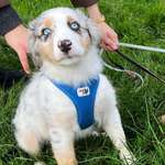 Ersteller:in Tabea Profilbild