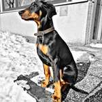 Ersteller:in Peter Profilbild