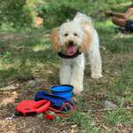 Ersteller:in Birgit Profilbild