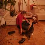 Ersteller:in Vanessa Profilbild