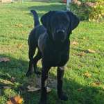 Ersteller:in Tina Profilbild