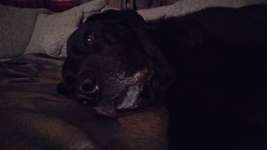 Er eitert schon wieder raus.-Beitrag-Bild