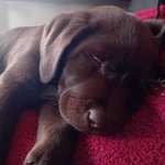 Ersteller:in Annika Profilbild