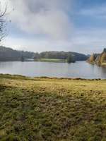 Hundeauslaufgebiet-Stausee Haslach-Bild