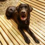 Ersteller:in Laura Profilbild