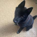 Ersteller:in Carolin Profilbild