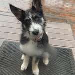 Ersteller:in Janine Profilbild