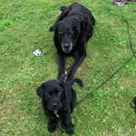 Ersteller:in Jeannette Profilbild