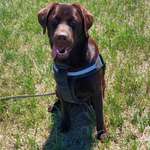 Ersteller:in Ulli Profilbild