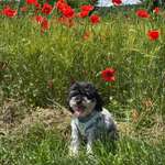 Ersteller:in Lisa Profilbild