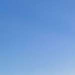 Ersteller:in Lena Profilbild