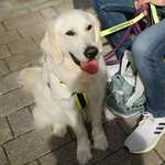 Ersteller:in Lydia Profilbild