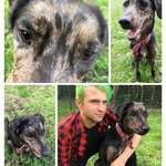 Ersteller:in Kallix Profilbild