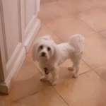 Ersteller:in Crocetta Petrucci Profilbild