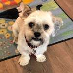 Ersteller:in Sandra Profilbild