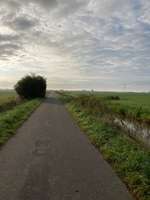 Hundeauslaufgebiet-Logar Hammrich-Bild