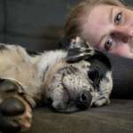 Ersteller:in Laura Profilbild