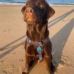 Ersteller:in Franziska Profilbild