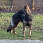 Ersteller:in Antje Profilbild