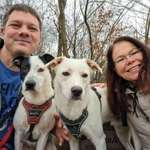 Ersteller:in Tobias Profilbild