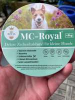 Natürlicher Zeckenschutz-Beitrag-Bild