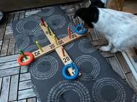 Ringe sortieren-Beitrag-Bild