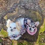 Ersteller:in Moni Profilbild