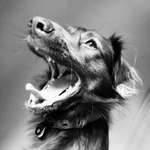 Ersteller:in Jana Profilbild