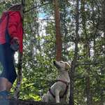 Ersteller:in Susann Profilbild