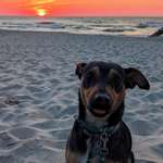 Ersteller:in I N Profilbild