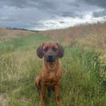 Ersteller:in Charlie Profilbild