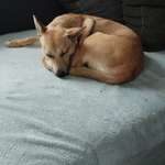 Ersteller:in Carmen Profilbild