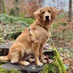 Ersteller:in Henrike Profilbild