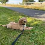 Ersteller:in Henrike Profilbild